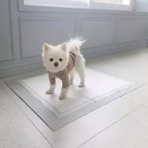 올웨이즈올펫 애견 배변판 실리콘 매트 논 표준형 69x55cm 1개 표준형 (69x55cm)