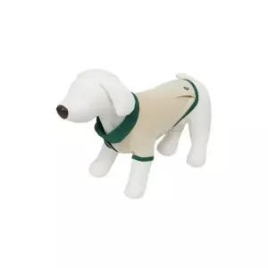 가볍고 편하고 활동적인 아이더 EIDER PET 카라 티셔츠_Dark Green 바람막이, 등산화