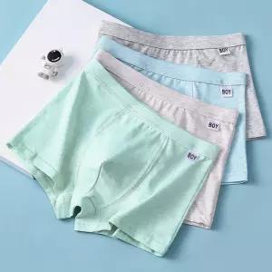 BOY드로즈 남아 사각 팬티 4종세트 206002