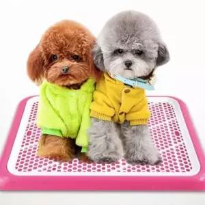 [반려] 반려견 배변판 화장실 훈련 강아지 패드 애견 토일레 그물망 소형