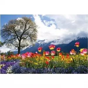 아이윙스 피포페인팅 GX5935 스위스 튤립가든 40x50 DIY명화그리기 유화수채화그리기