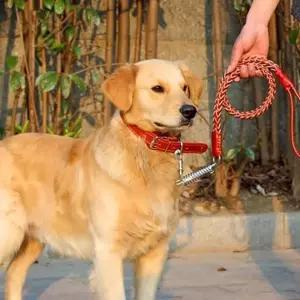 가죽 로프 목걸이 M 대형견 리드줄