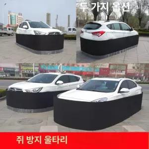 자동차덮개 고양이 차단막 보호커버 80cm 8m