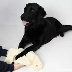 강아지 고양이 목욕 수건 몬스터 펫 타올 베이지 소형