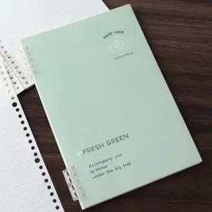 굿럭 A5 20공 루스리프 유선 노트 2p세트 줄공책 그린