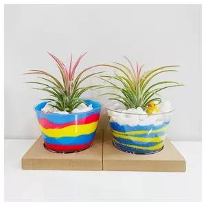 수업교구- 알록달록 이오난사 화분 만들기 1인용 2종 택 1