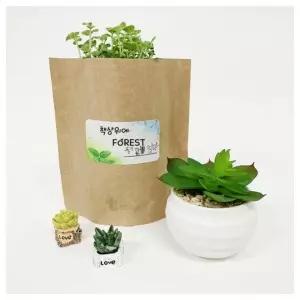 창의교구- 내 책상위에 포레스트 크라프트 봉투 4인용 실습키트