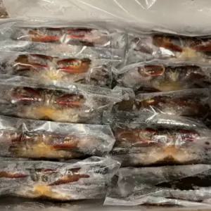 소프트쉘크랩 (껍질얇은 톱날꽃게, 푸팟퐁커리 머드크랩) 소 13-17미