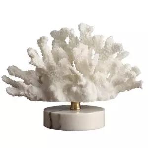 인테리어 촬영 산호 오브제 장식 모형 소품 산호초 껍데기 선물 집들이 조개 산호오브제