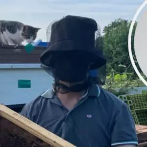 통풍망 씌우는 얼굴모기장 블랙