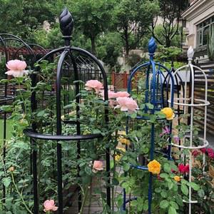 식물 장미아치 지지대 넝쿨식물 장미 넝쿨 아치