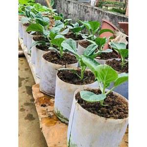 부직포화분 실내 텃밭 부직포 40x30x40 화단 고구마 사무실 식물재배 손잡이 봉투