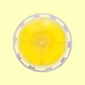 레몬 헤드리필 샤워필터 비타스파 샤워기 비타퍼퓸 샤워기필터