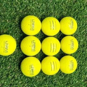 R51 고반발 비거리 필드용 골프공 10개입 골프공 골프