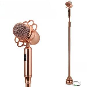 스탠드 마이크 공연 보컬 콘덴서 유튜브 라이브 보이스 방송용 레트로 무대 레코딩 인터넷