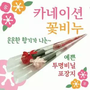 카네이션 [카네이션비누꽃(OPP형)] 카네이션꽃/카네이션꽃비누/장미꽃/어버이날/스승의날/비누꽃/로즈데이