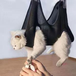 강아지 발톱 미용 해먹 거치대 셀프 고양이cde486