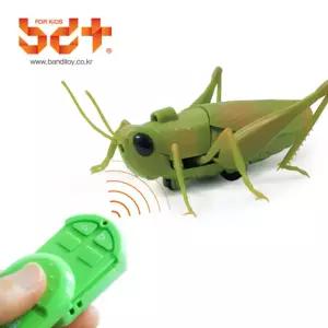 곤충관찰 풀벌레 메뚜기로봇 무선조종 RC 선물용 조카선물 초등학생 손주선물 어린이