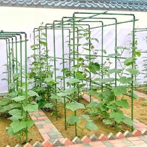 튼튼한 넝쿨 지지대 텃밭 메론 토마토 프레임 지주 오이 원예 식물
