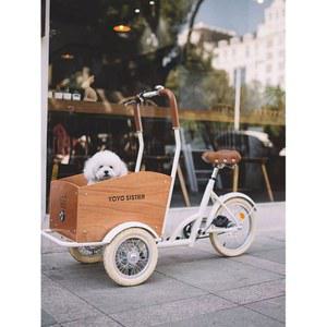 세발 개모차 자전거 강아지 이동장 라이딩 동물 바구니 화물 핑크 블루 1 바이크