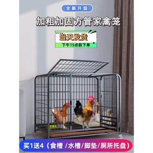 소형 닭장 새집 오리장 앵무새이동장 카나리아 선반 미니 이동가능한 온열 앵무 패키지