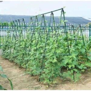 호박 지지대 오이 12060120 파이프 텃밭지주대 거치대 스탠드 농사 넝쿨