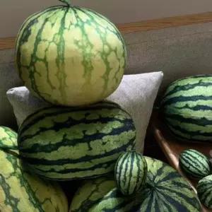 수박 인형 통수박 베개 쿠션 장식품 인테리어소품 워터멜론