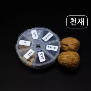 6종 관찰용 씨앗 벼/채송화/사과/호두/강낭콩/옥수수
