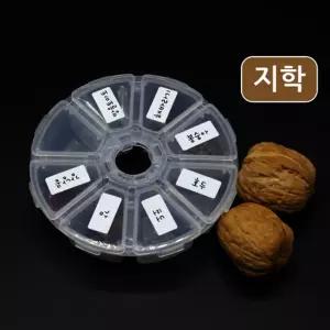 7종 씨앗 강낭콩/감/포도/호두/봉숭아/방토/해바리기
