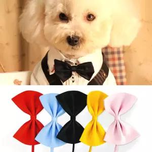 강아지 고양이 케이프 넥타이 나비 애견 코스튬 (특가) qZh2+1Bwv