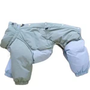 이탈리안 그레이하운드 패딩옷 휘핏 반려견 베들링턴테리어