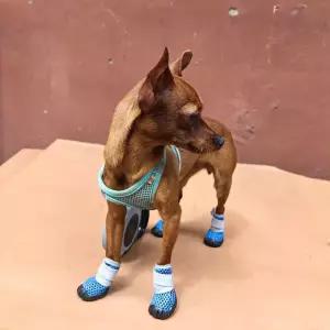 강아지 미끄럼방지 신발 산책 메쉬 여름 애견 실내외 kbA5+6brX