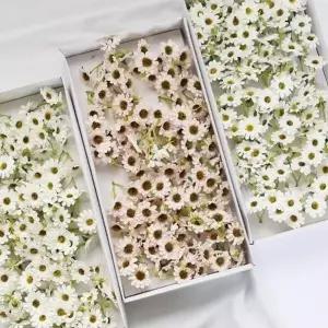 [콩심팥심]플라워 비누향기 조화꽃 데이지 베이비 연핑크 (1 묶음) 비누향기