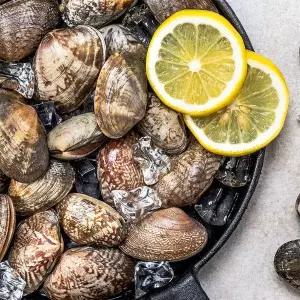 갤러리아 [맛딜] 산지직송 남해안 활 바지락 1kg