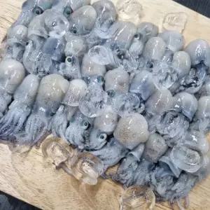 서해안 생물 귀꼴뚜기 귀오징어 500g 숙회 통찜