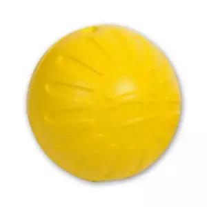 스타마크 판타스틱 폼볼 옐로우 M 노즈워크 공놀이 펫장난감