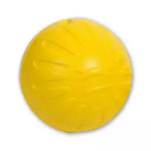 스타마크 판타스틱 폼볼 옐로우 M 노즈워크 공놀이 펫장난감
