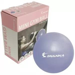 ( )케이코 아이워너 미니 짐볼25cm 운동
