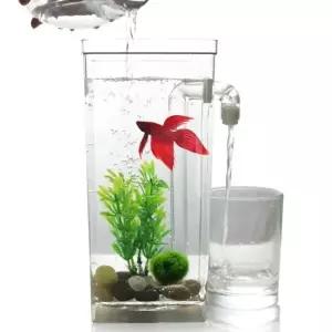 물멍 자동 청소 어항 금붕어 구피 해수어 베타 키우기