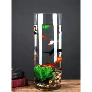 물고기 둥근 유리 어항 25L 관상어 수족관 금붕어 소형 투명