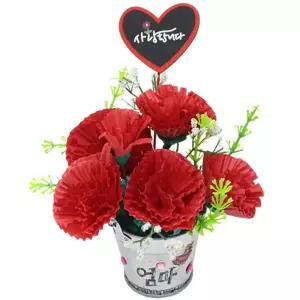 카네이션 화분 만들기(10인용) 어버이날 스승의날 감사 선물