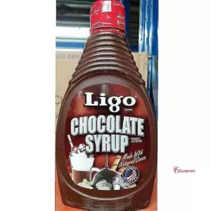 초코 567g 시럽 가공식 리고 쵸코zab918