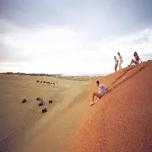 [스마트초이스] 시드니 업그레이드 올인원 7일 #오페라하우스 내부 #크루즈 2회 #블루마운틴 시닉4종+선셋+별빛 #오이스터팜 시식투어 #포트스티븐스 # 6대 특식 #전일정 4성