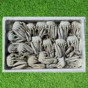 살이 꽉찬 국내산 손질 절단꽃게 10kg