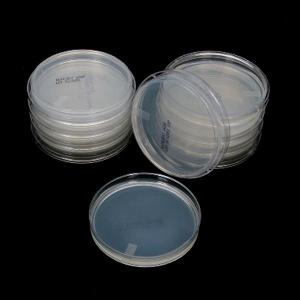 한천배지(보통/표준) EDU-22409