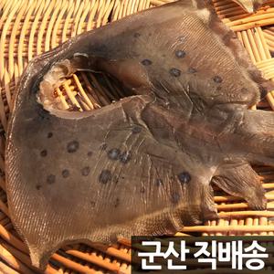 반건조 가오리 5마리 20cm내외 700g 군산항