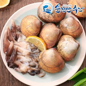 남해안 새조개살 500g / 내장제거 완료 상품 /