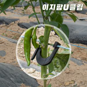 이지팜U클립 고추 가지 오이 토마토 작물 집게 클립 지지대 말뚝 끈 농작물 1초집게