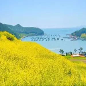 전라완도청산도바다풍경 펜션