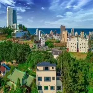 [강원] 경포 코지펜션(애견동반)(강원, 강릉)